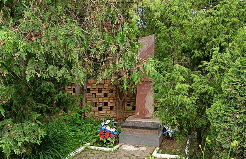 Воинам-защитникам, в земле Русской просиявшим