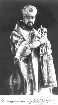 Епископ Нестор (Анисимов)