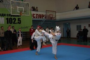 Единоборства "Российского союза боевых искусств"