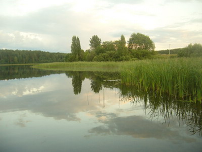 Озеро Белое у дер.Полосы. Фото М.Михайловой