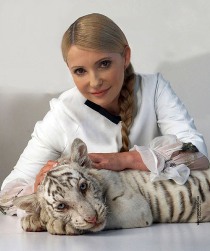 ТигрЮля (предвыборный плакат Юлии Тимошенко)