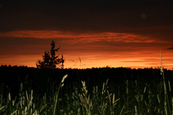 Закат. Фото Даниила Михайлова