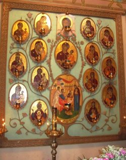 собор чтимых икон Божией Матери в виде древа