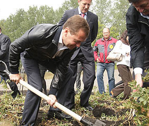 Дмитрий Медведев копает картошку