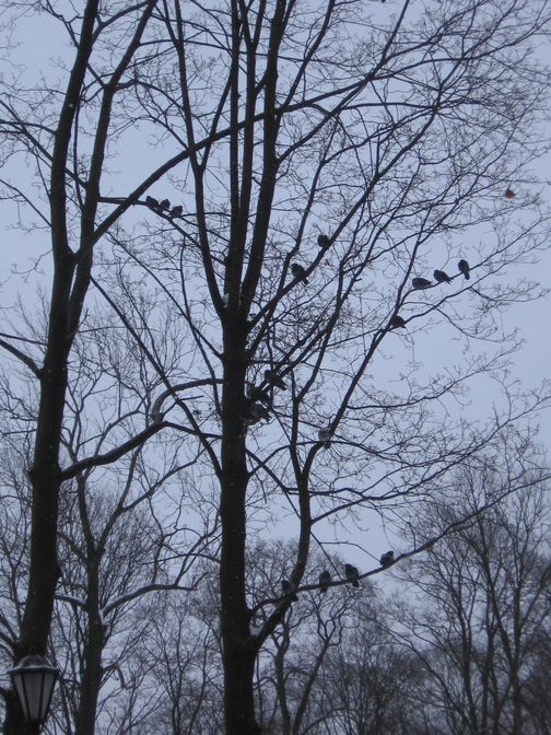 Крестный ход православных трезвенников. 1.01.2011 г.