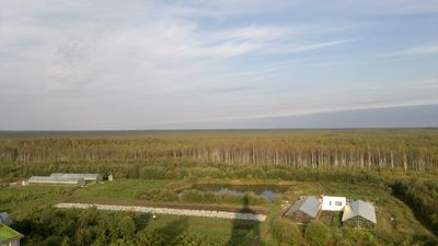 2. Псковские болота с колокольни Крыпецкого монастыря