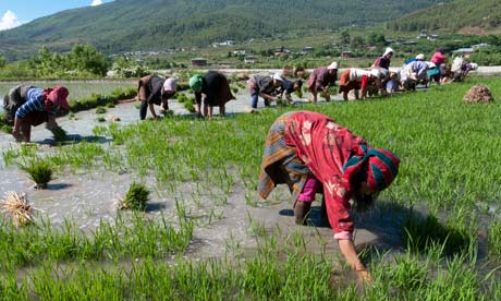 Бутан - только ручной труд, машины запрещены