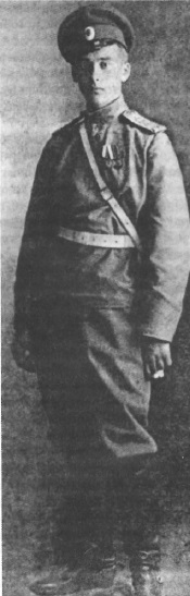 Дмитрий Боткин, 1914 год