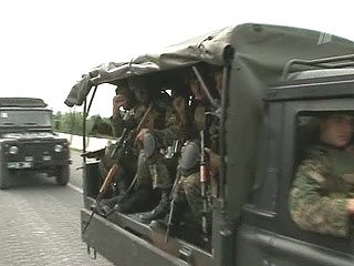 Грузинские войска