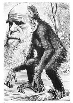 Карикатура на Чарлза Дарвина