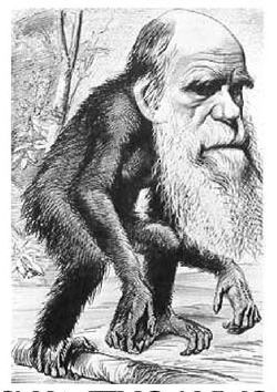 Карикатура на Чарлза Дарвина