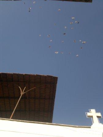 Голуби над храмом апостола Анания