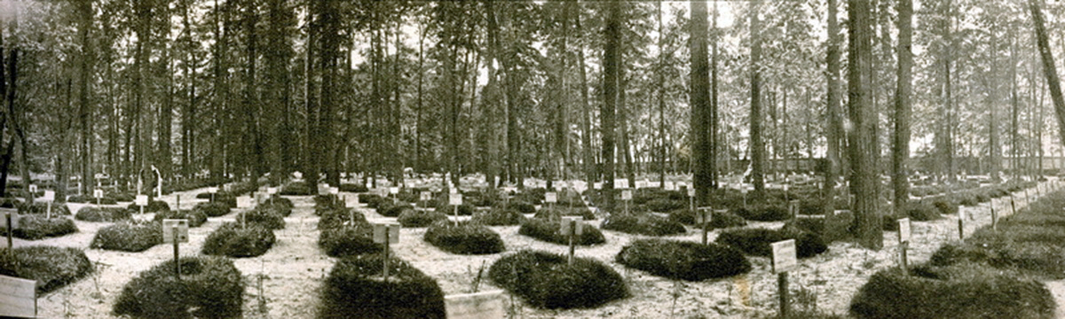 Братское кладбище в Москве