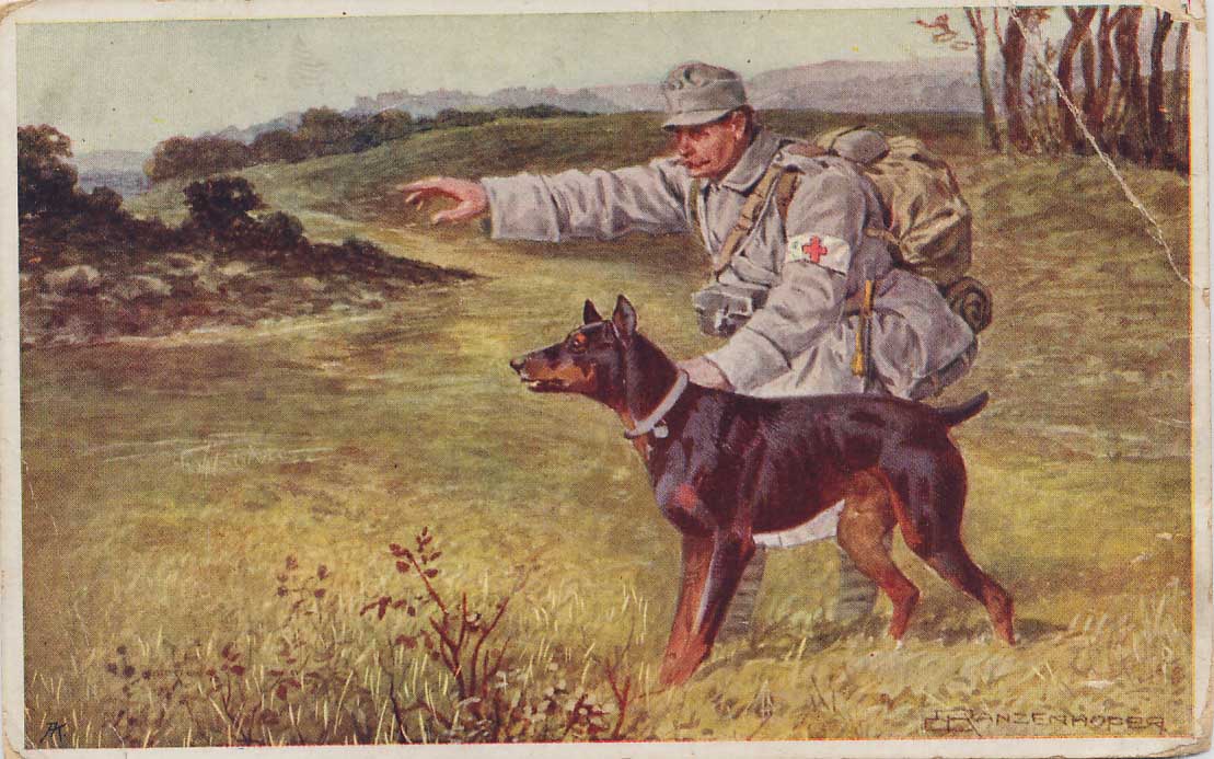 Собака-санитар, Австро-венгерская армия, Первая мировая война