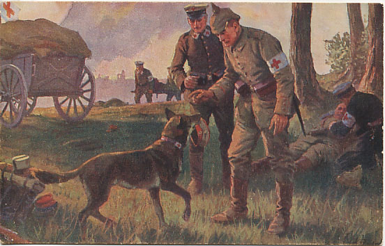 Собака-санитар, Германская армия, Первая мировая война