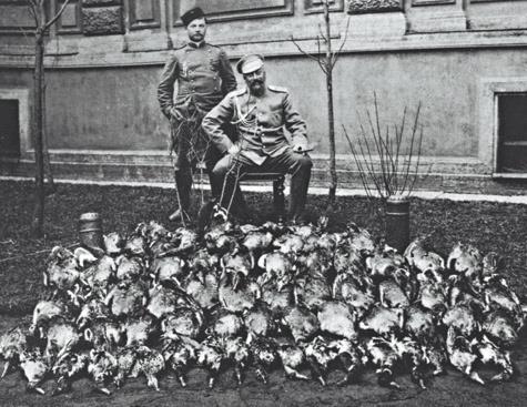 Охотничьи трофеи Вел. кн. Николая Михайловича Охотничьи трофеи Вел. кн. Николая Михайловича