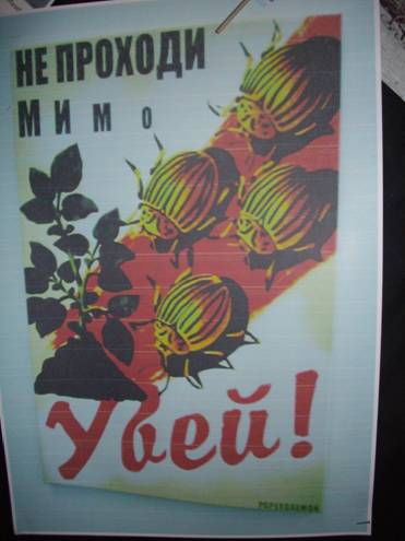 Агитплакаты укропов